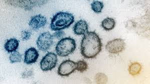 Ổ dịch mới tại Trung Quốc ghi nhận các dấu hiệu Coronavirus đang biến đổi Ổ dịch mới tại Trung Quốc ghi nhận các dấu hiệu Coronavirus đang biến đổi