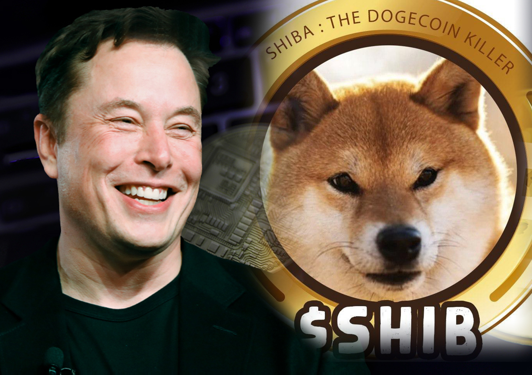 Chỉ bằng một dòng tweet, Elon Musk vừa "thổi giá" Shiba Inu tăng 216%