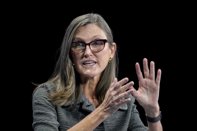 Nhà đầu tư Cathie Wood - Ảnh: CNBC. Nhà đầu tư Cathie Wood - Ảnh: CNBC.