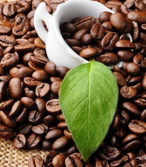 Thị trường cà phê có nhiều biến động trên thị trường Thị trường cà phê có nhiều biến động trên thị trường