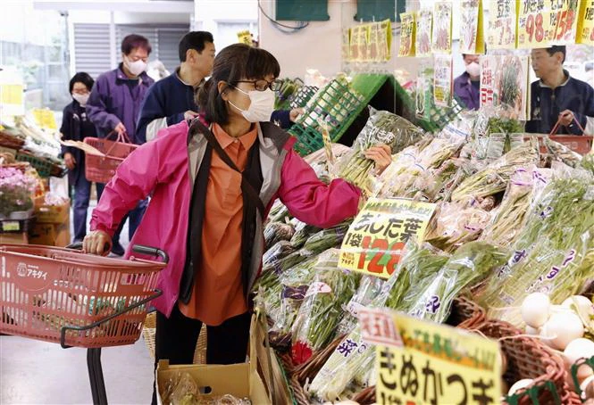 CPI lõi của Nhật Bản chạm mức cao nhất trong 42 năm qua | Vietnam+  (VietnamPlus)