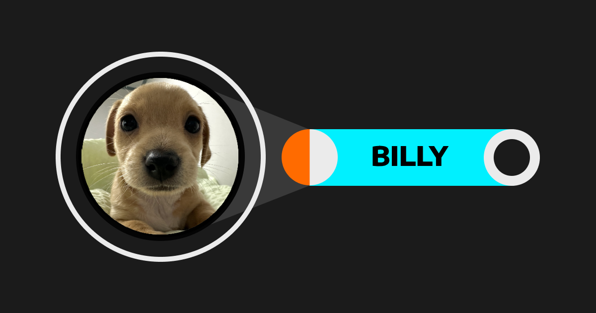 Billy (BILLY): Giới thiệu chú chó đáng yêu trên Solana Billy (BILLY): Giới thiệu chú chó đáng yêu trên Solana