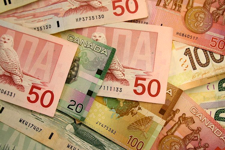 Niềm hy vọng chớm nở lại vụt tắt, USD/CAD giảm về dưới 1.3600 khi doanh số bán lẻ của Canada tốt hơn dự kiến Niềm hy vọng chớm nở lại vụt tắt, USD/CAD giảm về dưới 1.3600 khi doanh số bán lẻ của Canada tốt hơn dự kiến