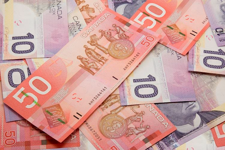 Phục hồi khiêm tốn lên 1.3460, USD/CAD liệu sẽ đi được bao xa khi triển vọng nhìn chung vẫn kém sắc? Phục hồi khiêm tốn lên 1.3460, USD/CAD liệu sẽ đi được bao xa khi triển vọng nhìn chung vẫn kém sắc?