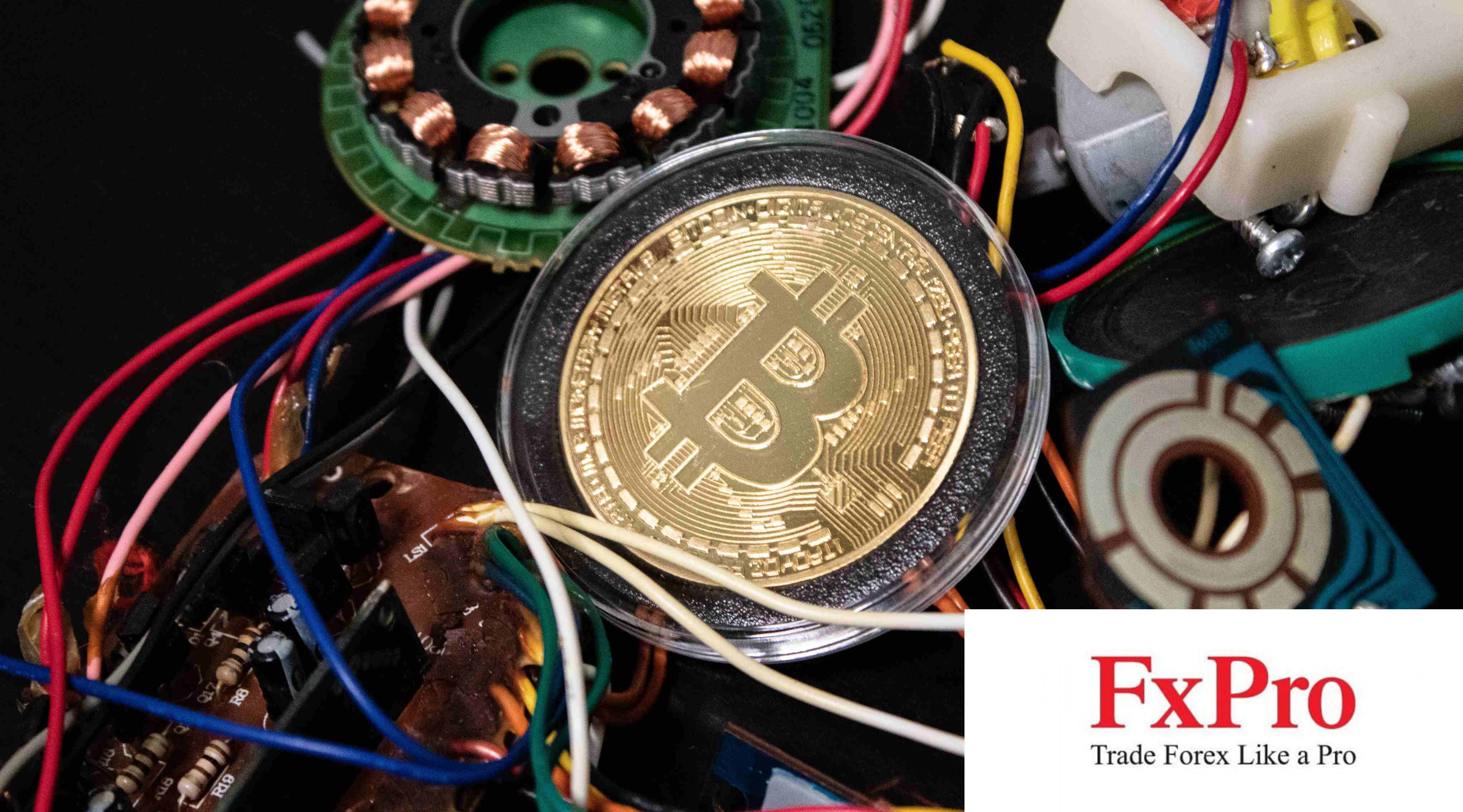 Các quỹ ETF Bitcoin và Ether tại Mỹ ghi nhận dòng vốn vào kỷ lục dưới thời Donald Trump